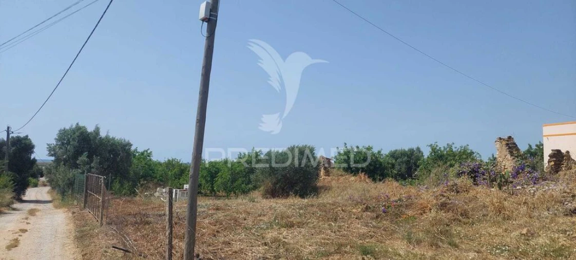 Terreno para Venda em Moncarapacho e Fuseta Foto 3