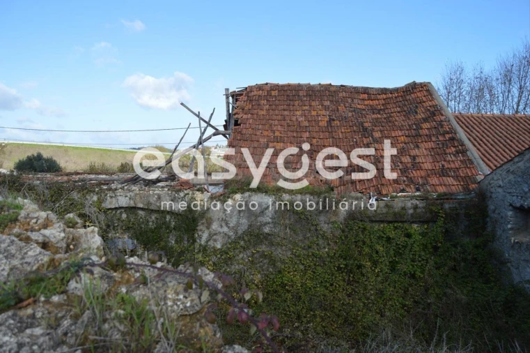 Armazém para Venda em Assentiz Foto 4