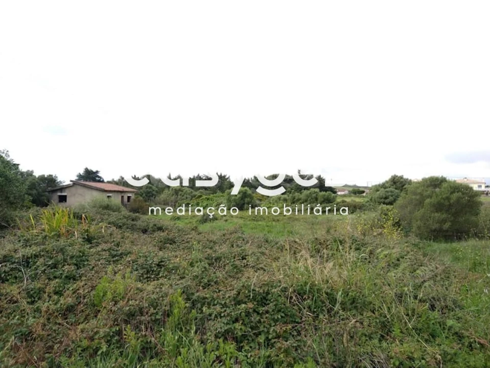Terreno para Venda em Rio de Mouro Foto 5