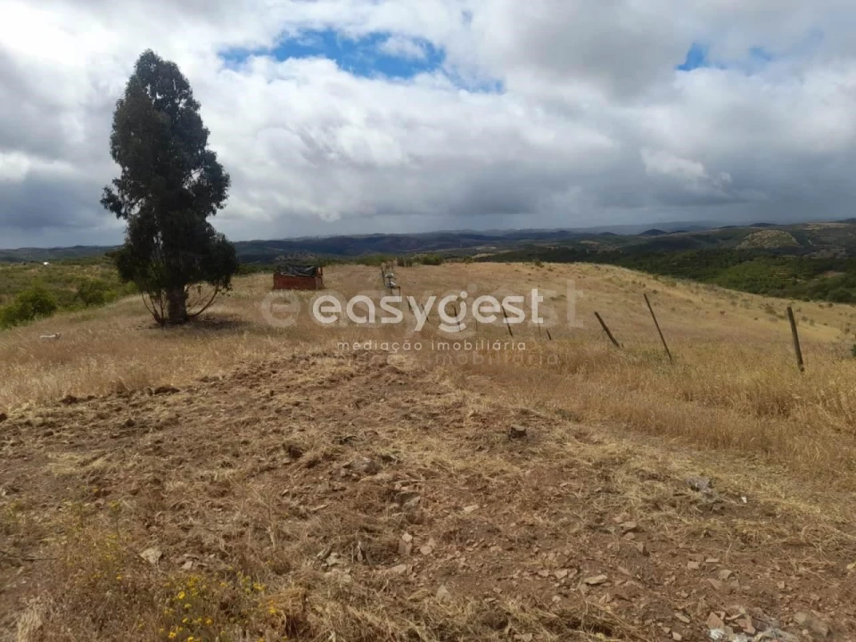 Terreno para Venda em Martim Longo Foto 3