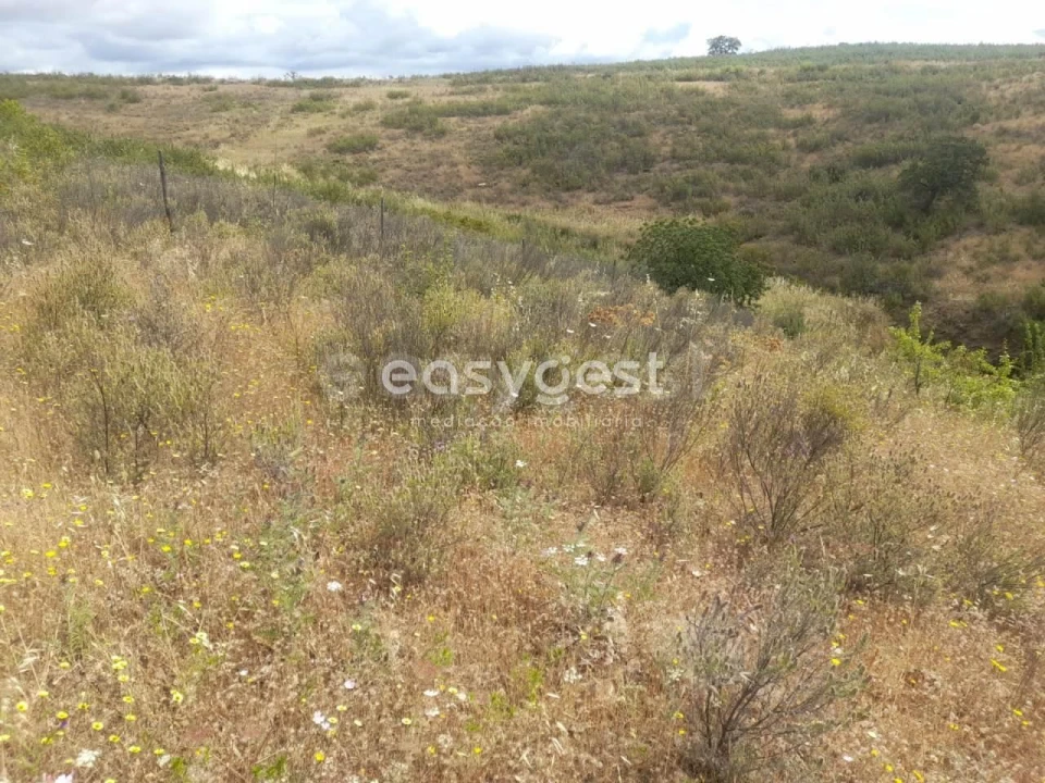Terreno para Venda em Martim Longo Foto 7