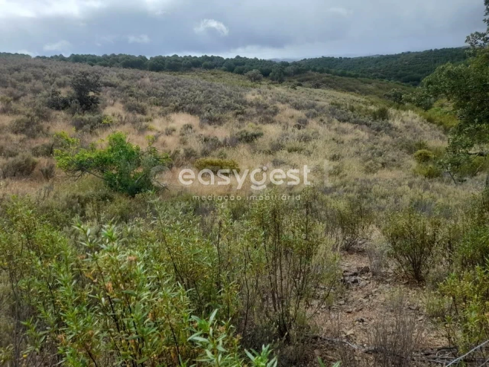 Terreno para Venda em Martim Longo Foto 12
