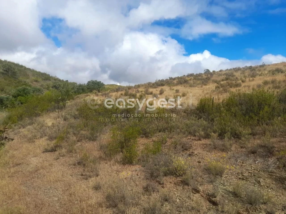 Terreno para Venda em Martim Longo Foto 13