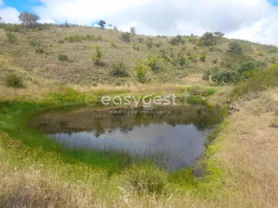 Terreno para Venda em Martim Longo Foto 14
