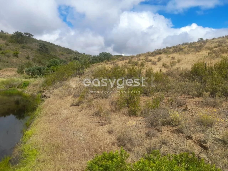 Terreno para Venda em Martim Longo Foto 16