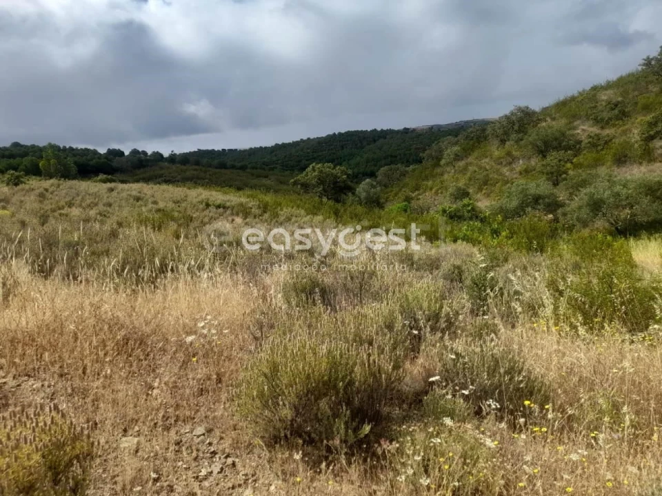 Terreno para Venda em Martim Longo Foto 17