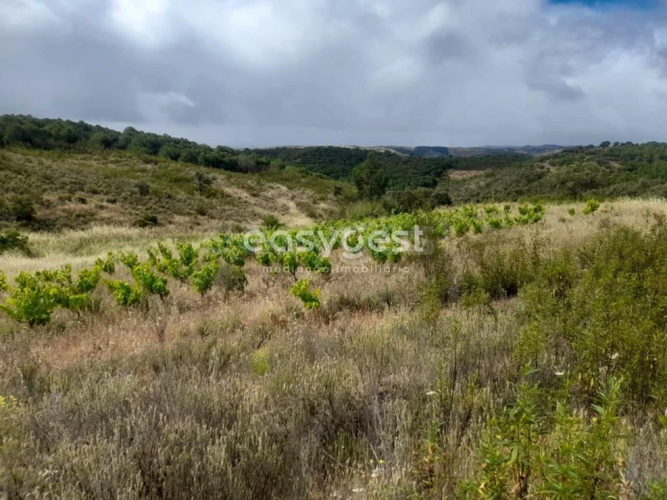 Terreno para Venda em Martim Longo Foto 29