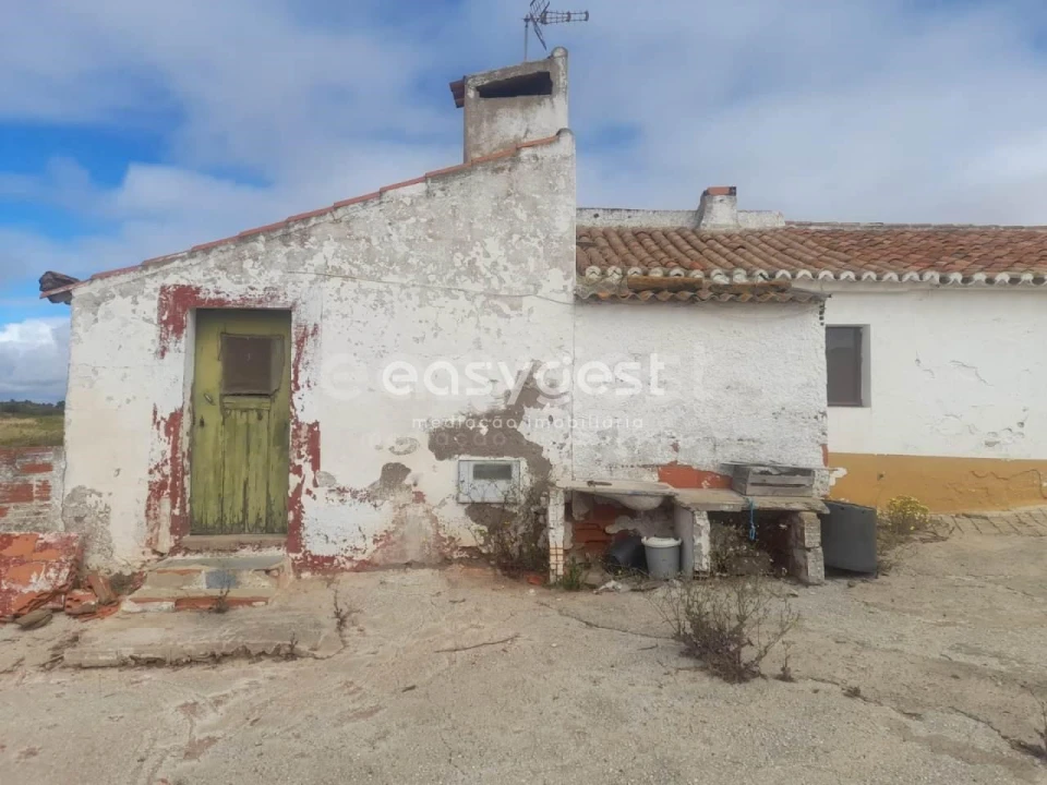 Terreno para Venda em Martim Longo Foto 42