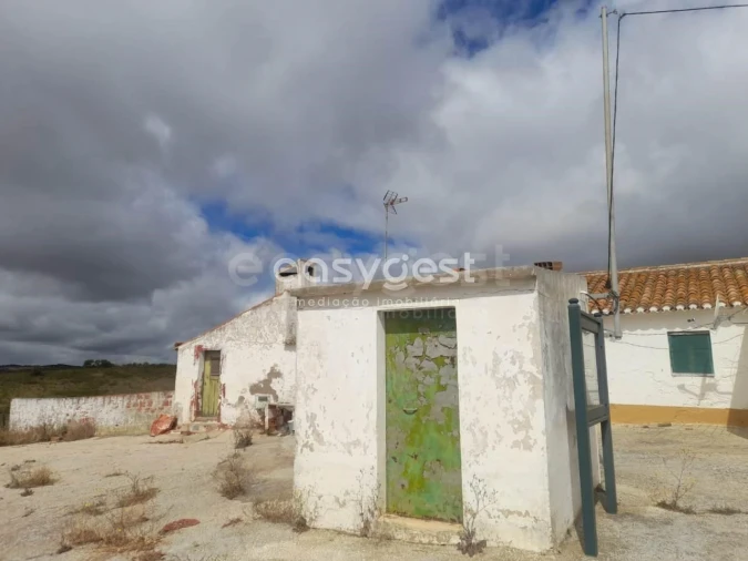 Terreno para Venda em Martim Longo Foto 2