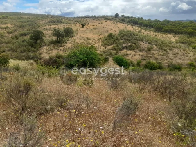 Terreno para Venda em Martim Longo Foto 5