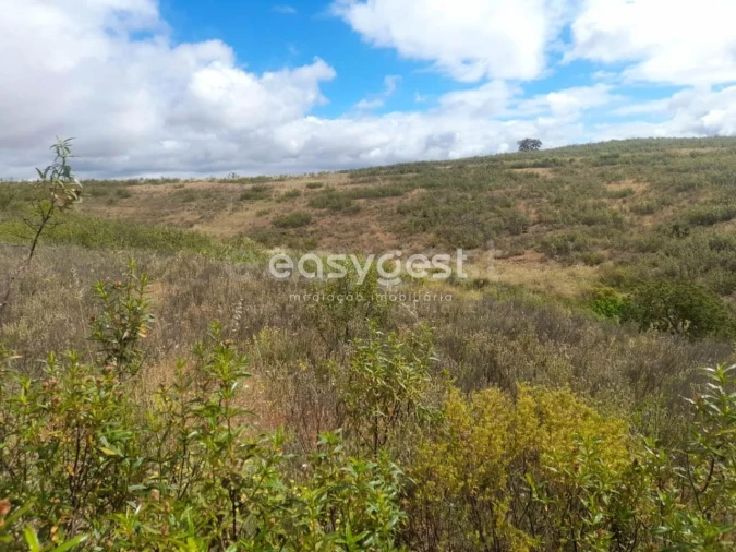Terreno para Venda em Martim Longo Foto 6