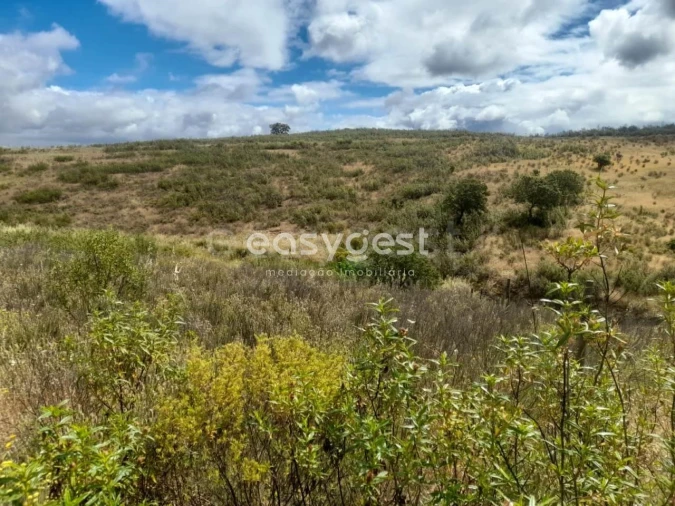 Terreno para Venda em Martim Longo Foto 10
