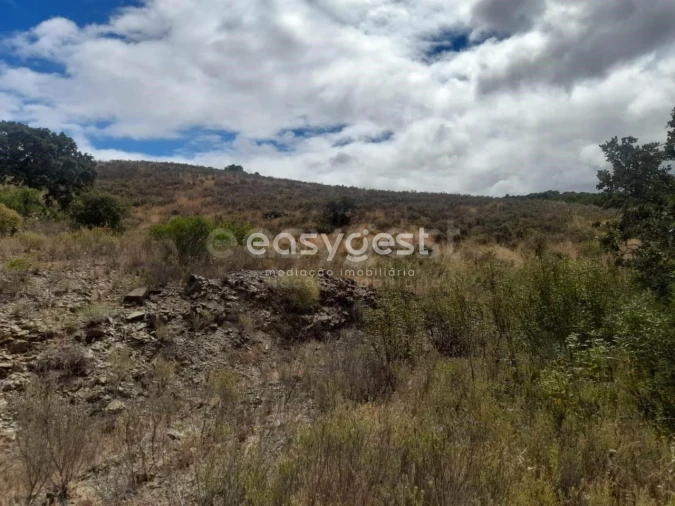 Terreno para Venda em Martim Longo Foto 11