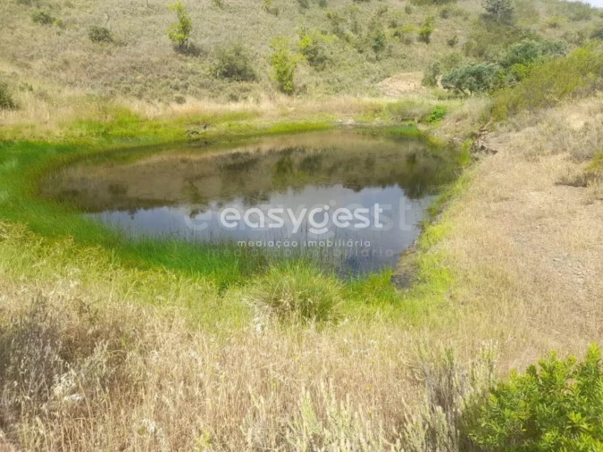 Terreno para Venda em Martim Longo Foto 15