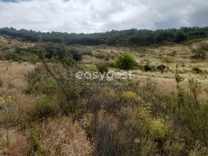 Terreno para Venda em Martim Longo Foto 18