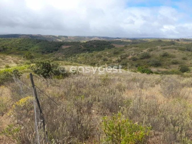 Terreno para Venda em Martim Longo Foto 23