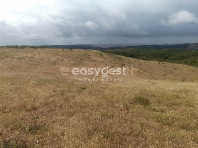 Terreno para Venda em Martim Longo Foto 25