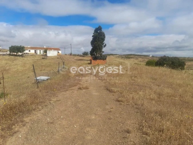 Terreno para Venda em Martim Longo Foto 26