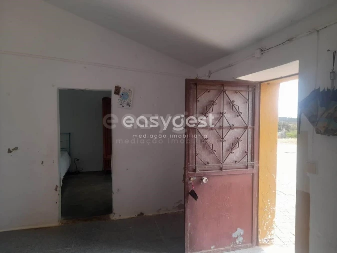 Terreno para Venda em Martim Longo Foto 38