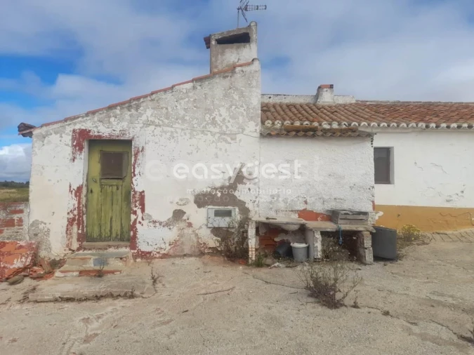 Terreno para Venda em Martim Longo Foto 42