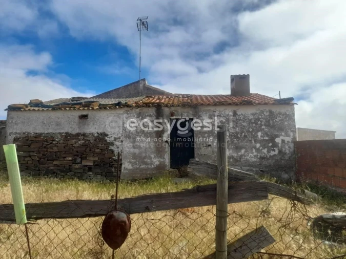 Terreno para Venda em Martim Longo Foto 43