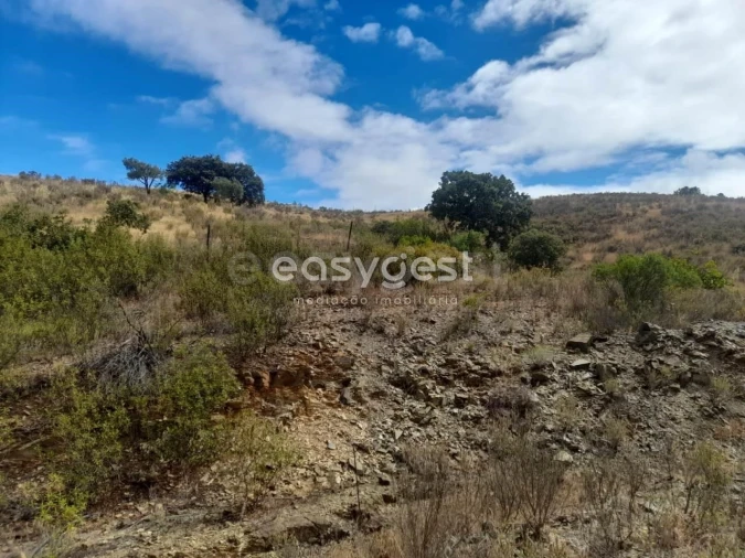 Terreno para Venda em Martim Longo Foto 44