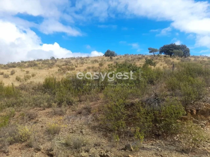 Terreno para Venda em Martim Longo Foto 45