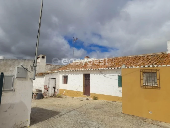 Terreno para Venda em Martim Longo Foto 46
