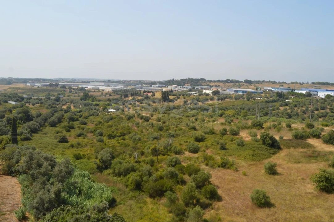Apartamento T3 para Venda em Torres Novas (Santa Maria, Salvador e Santiago) Foto 15