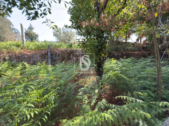 Terreno para Venda em Creixomil e Mariz Foto 18