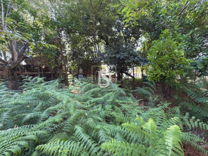 Terreno para Venda em Creixomil e Mariz Foto 32