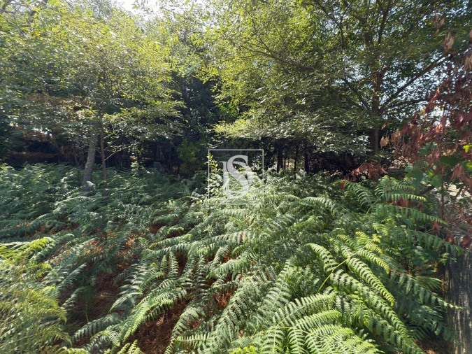 Terreno para Venda em Creixomil e Mariz Foto 19