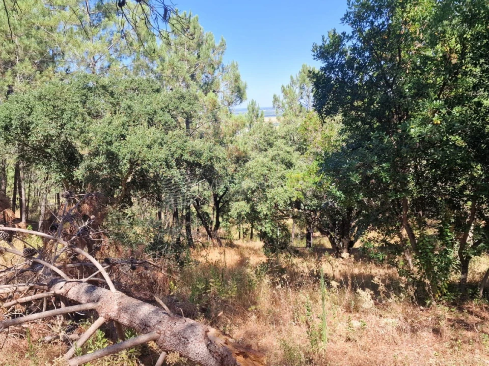 Terreno Agricola ou Rústico para Venda em Vila Franca de Xira Foto 38