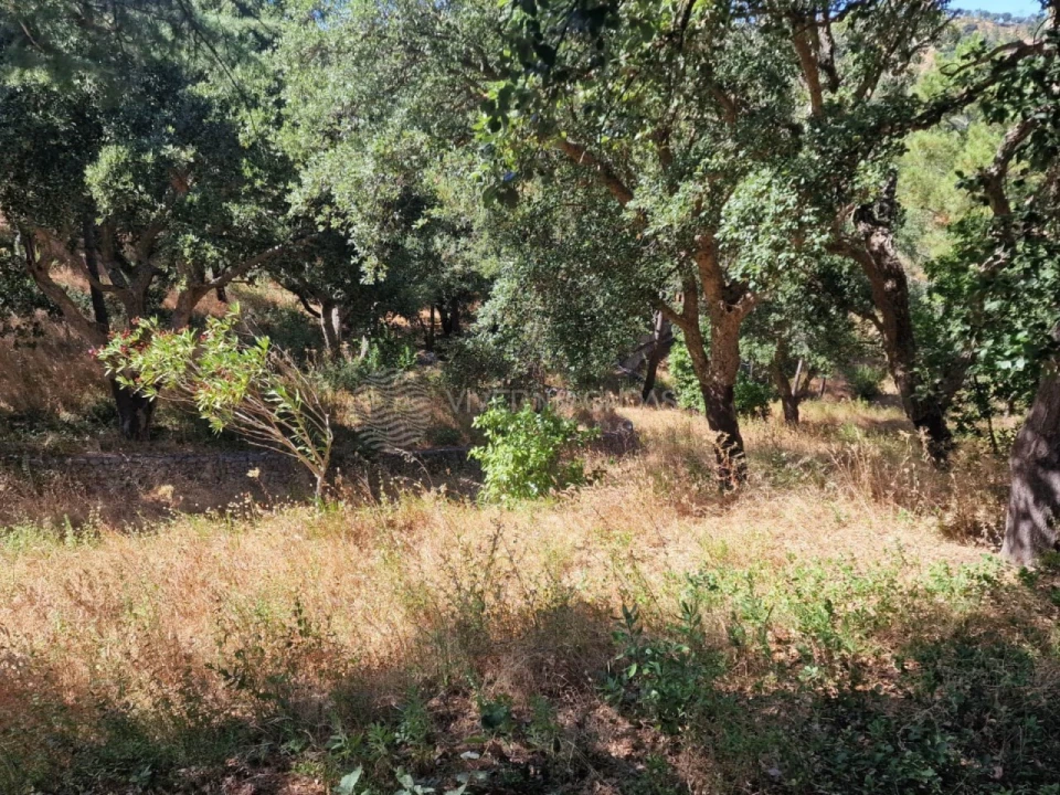 Terreno Agricola ou Rústico para Venda em Vila Franca de Xira Foto 42