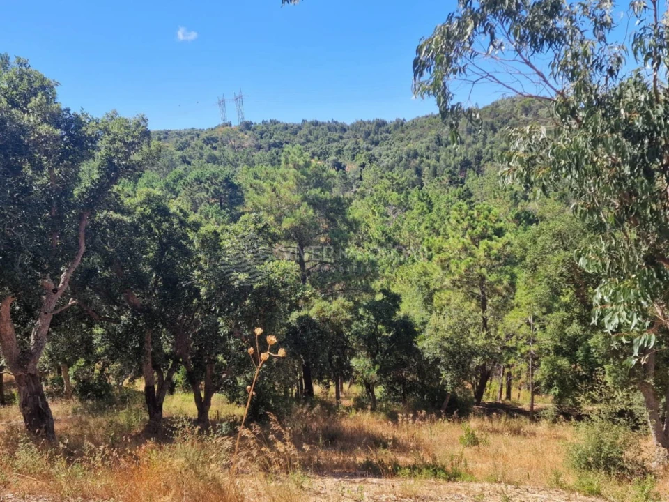 Terreno Agricola ou Rústico para Venda em Vila Franca de Xira Foto 41