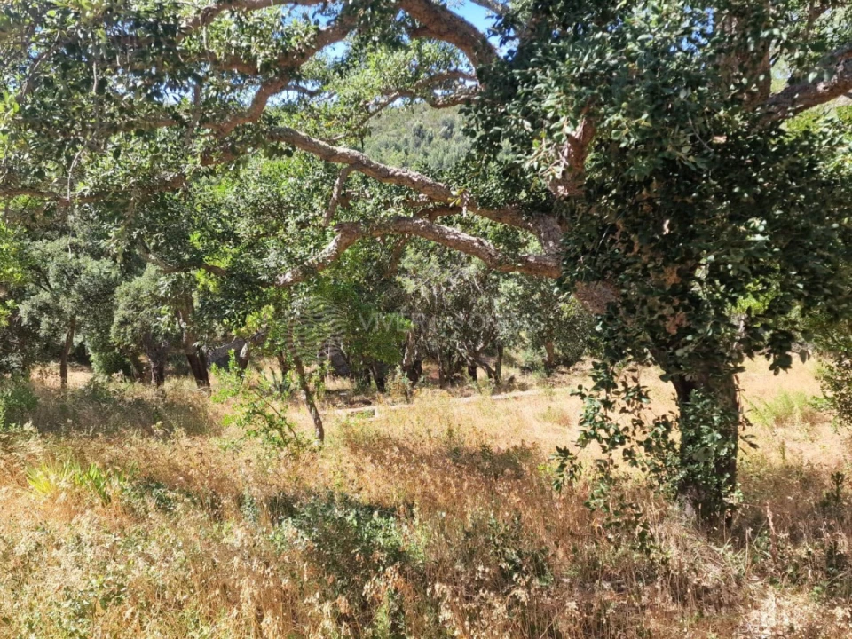 Terreno Agricola ou Rústico para Venda em Vila Franca de Xira Foto 44