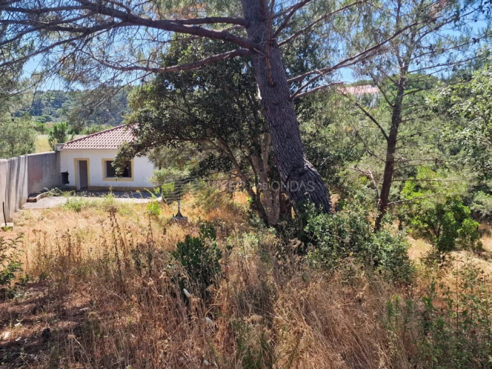 Terreno Agricola ou Rústico para Venda em Vila Franca de Xira Foto 46