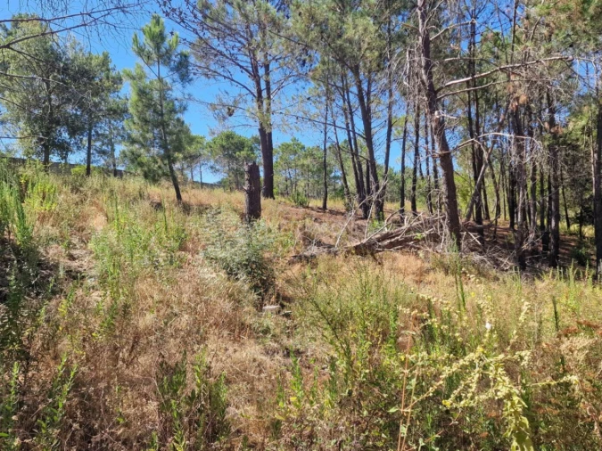 Terreno Agricola ou Rústico para Venda em Vila Franca de Xira Foto 37