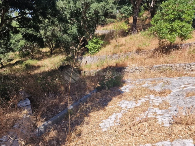 Terreno Agricola ou Rústico para Venda em Vila Franca de Xira Foto 39