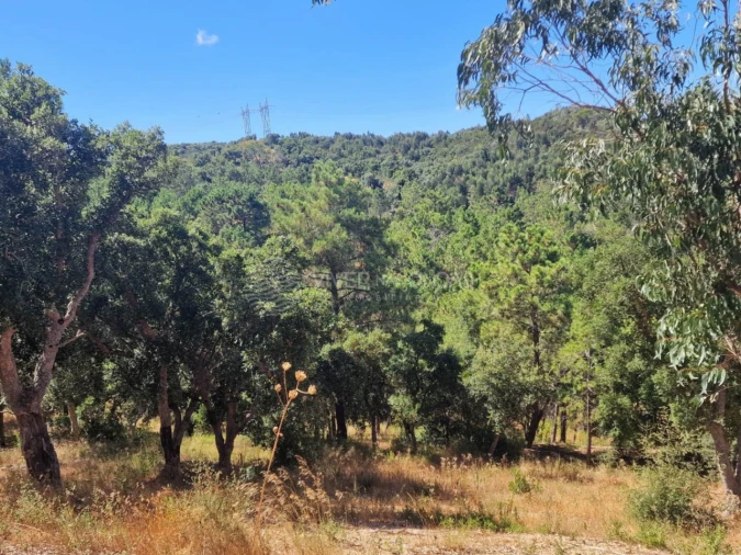 Terreno Agricola ou Rústico para Venda em Vila Franca de Xira Foto 41