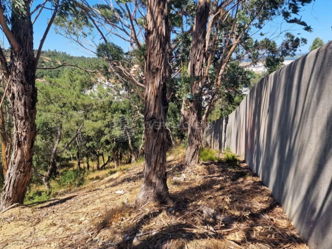 Terreno Agricola ou Rústico para Venda em Vila Franca de Xira Foto 43