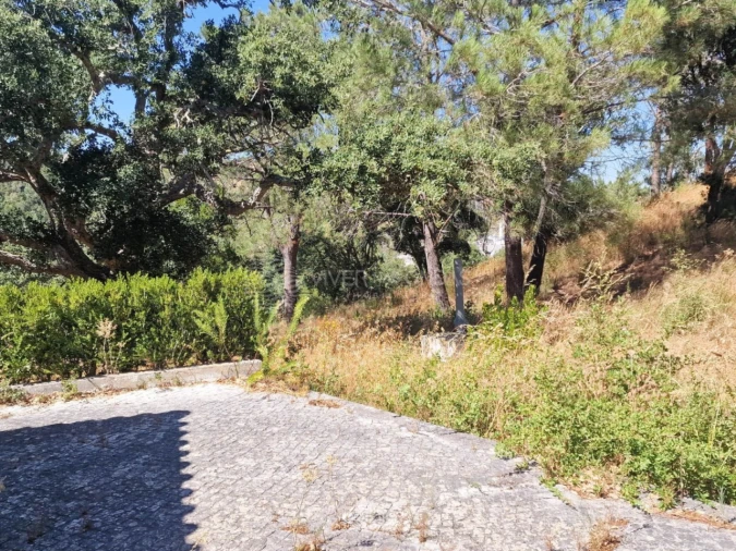 Terreno Agricola ou Rústico para Venda em Vila Franca de Xira Foto 31
