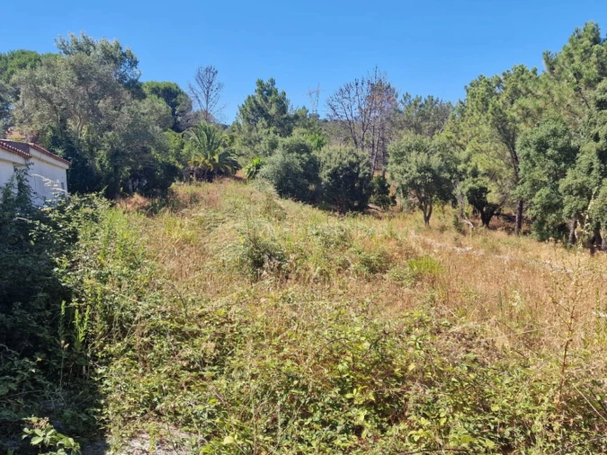 Terreno Agricola ou Rústico para Venda em Vila Franca de Xira Foto 36