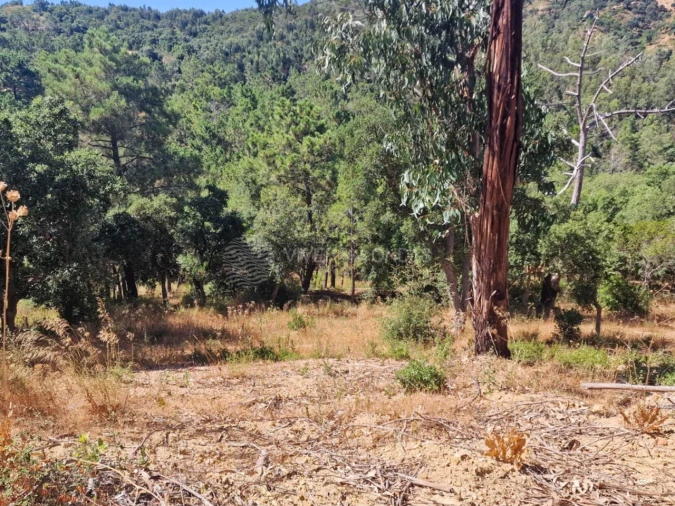 Terreno Agricola ou Rústico para Venda em Vila Franca de Xira Foto 40