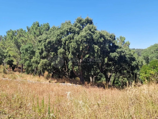 Terreno Agricola ou Rústico para Venda em Vila Franca de Xira Foto 45
