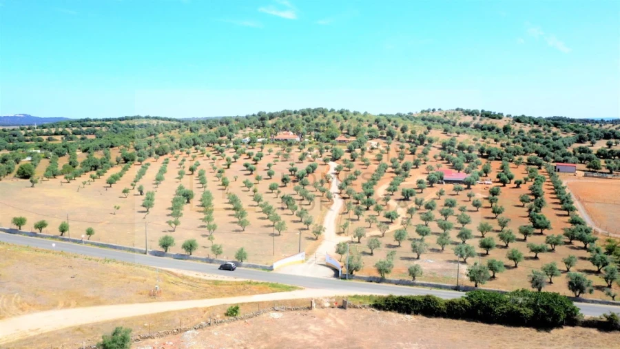 Moradia T5 para Venda em Cabeço de Vide Foto 5