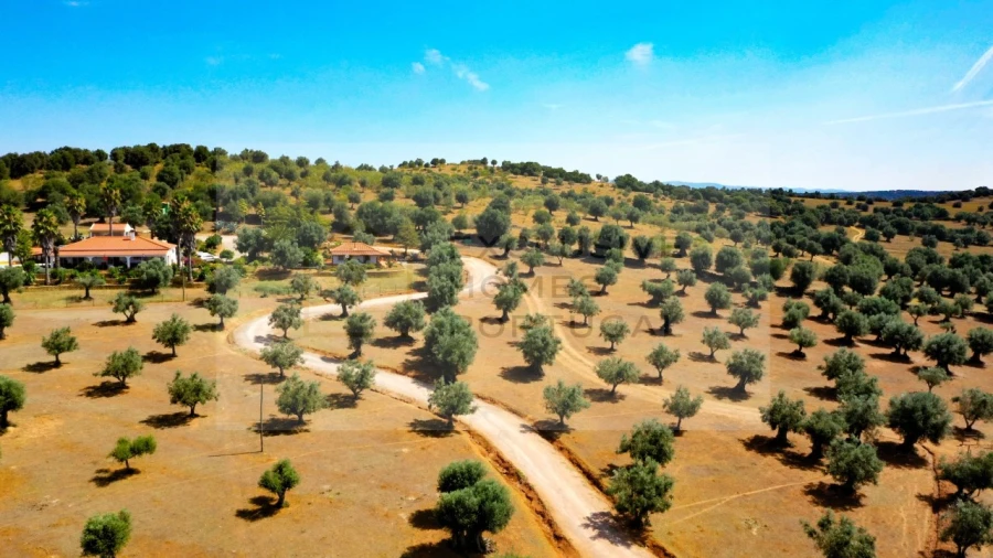 Moradia T5 para Venda em Cabeço de Vide Foto 6