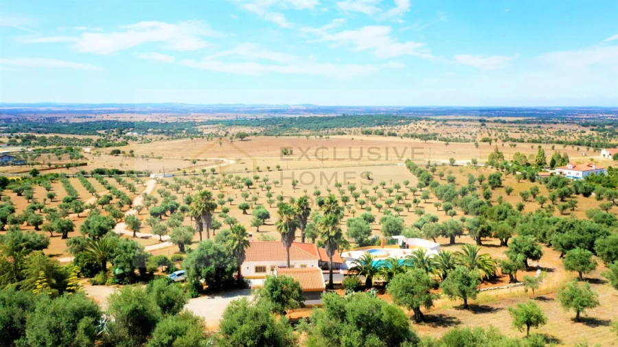 Moradia T5 para Venda em Cabeço de Vide Foto 7