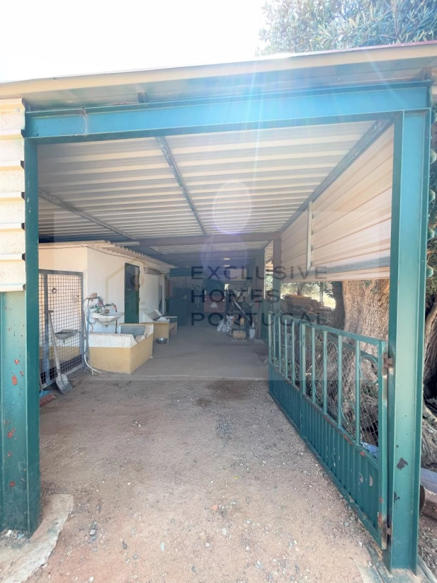 Moradia T5 para Venda em Cabeço de Vide Foto 64