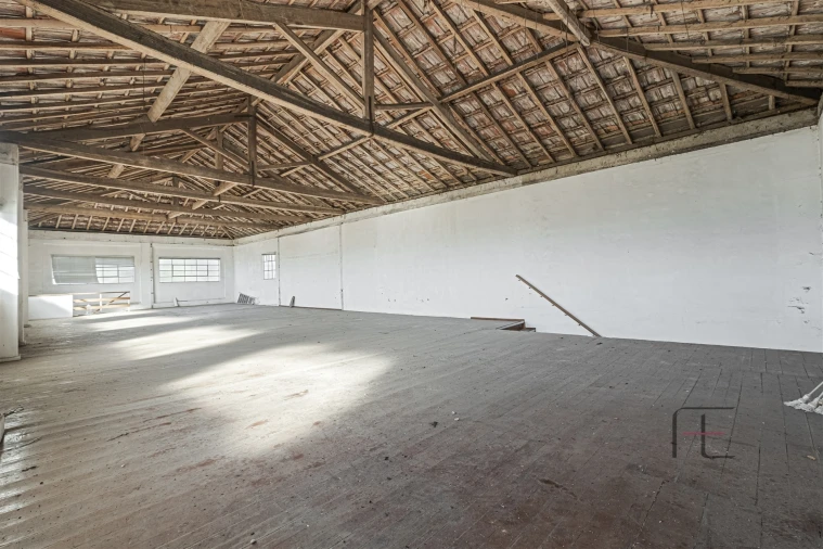 Armazém para Arrendamento em São Paio de Oleiros Foto 4